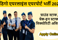 Indigo Airlines Airport Job 2025
