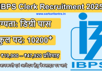 IBPS Clerk Recruitment 2025