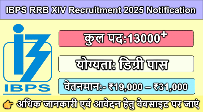 IBPS RRB XIV Recruitment 2025 Notification
